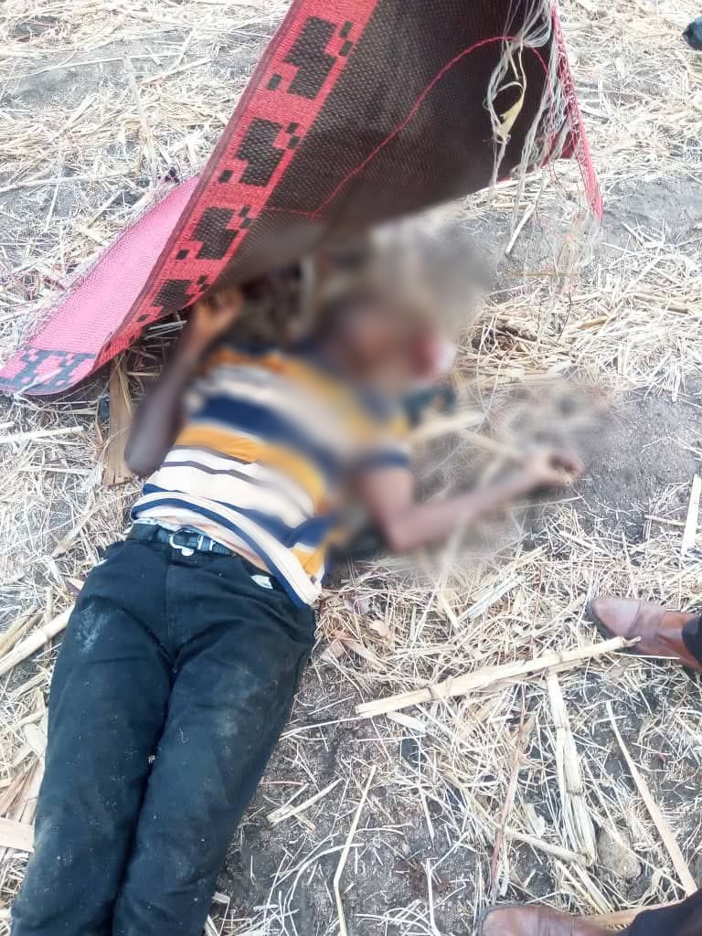 Terrorists attack Adamawa community, k!ll 29 villagers