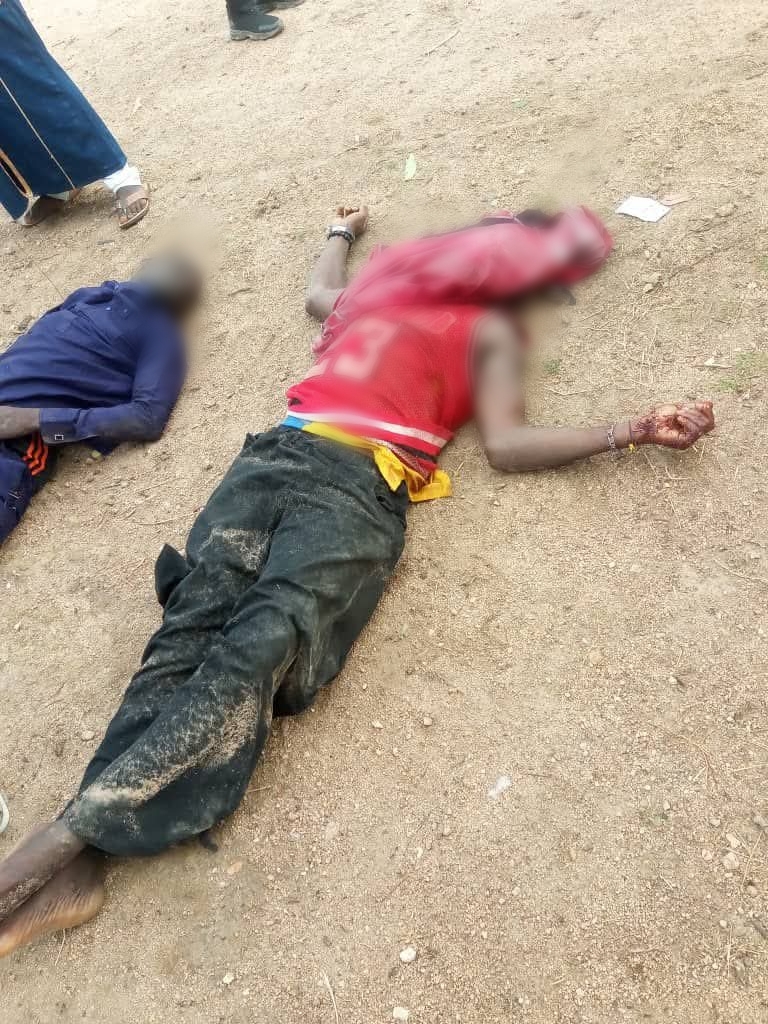 Terrorists attack Adamawa community, k!ll 29 villagers