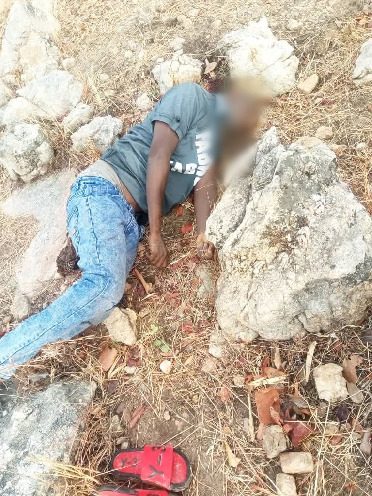 Terrorists attack Adamawa community, k!ll 29 villagers