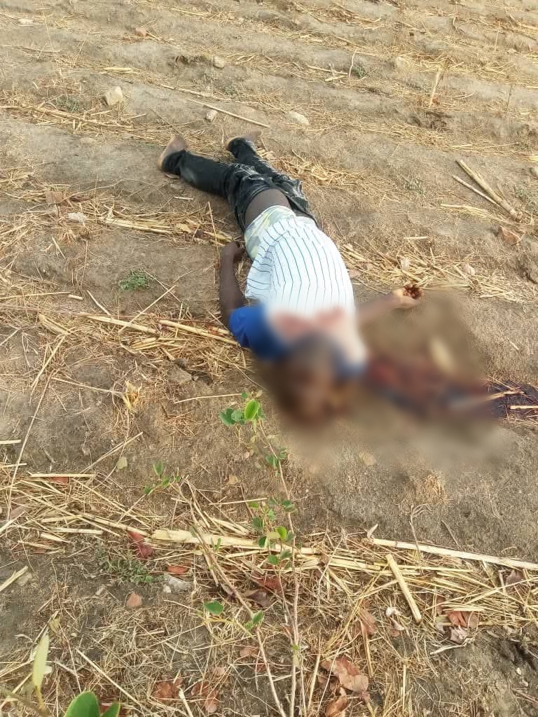 Terrorists attack Adamawa community, k!ll 29 villagers