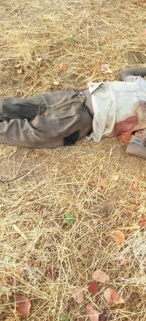 Terrorists attack Adamawa community, k!ll 29 villagers