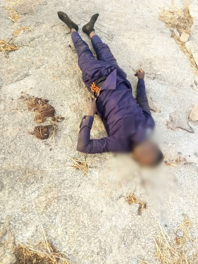 Terrorists attack Adamawa community, k!ll 29 villagers