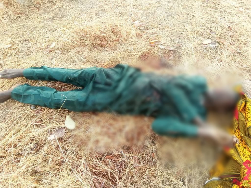 Terrorists attack Adamawa community, k!ll 29 villagers