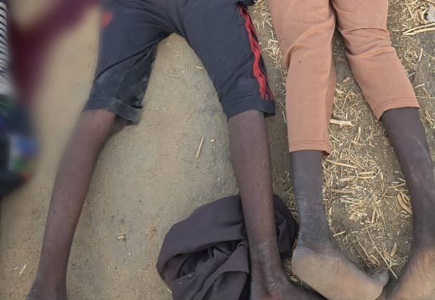 Troops neutralise four terrorists, recover arms in Sambisa forest axis