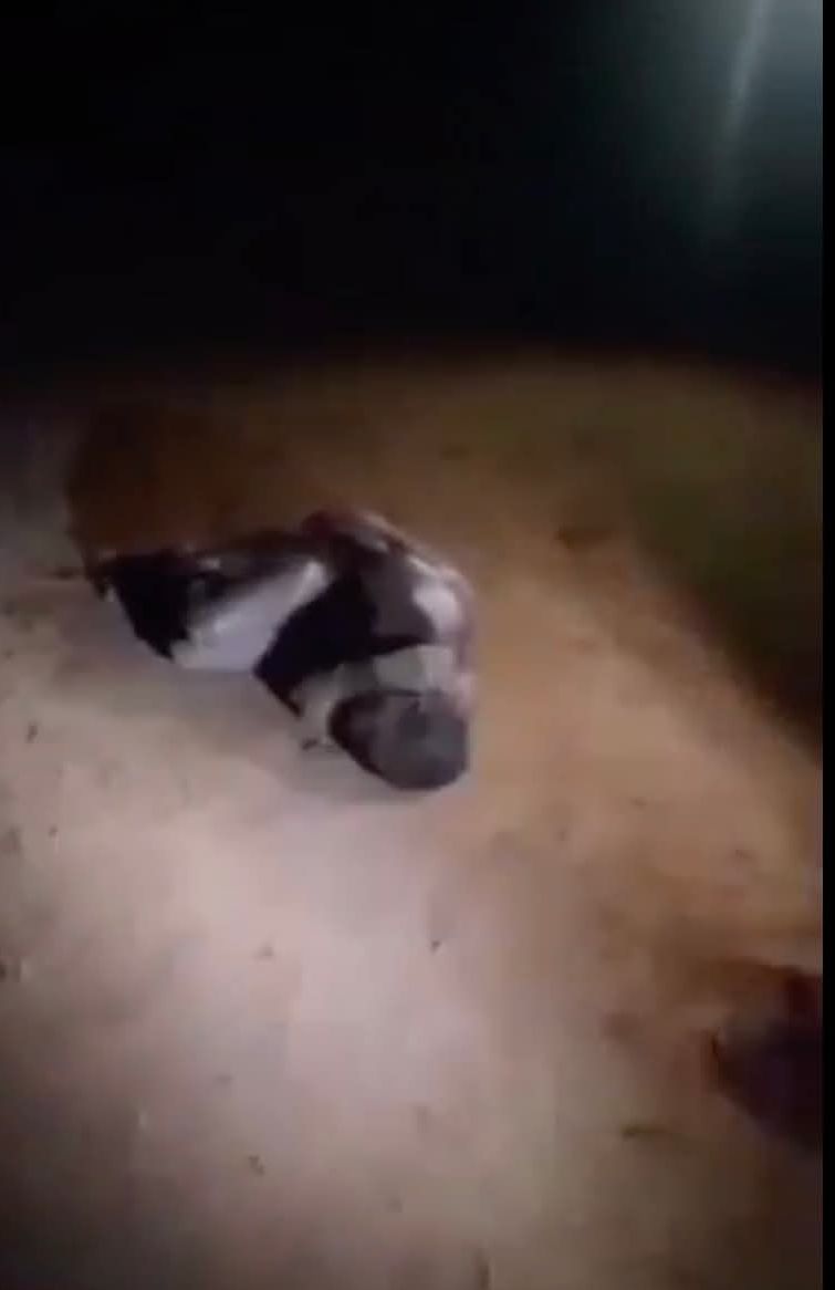 Vigilantes allegedly b?at and k!ll mentally unstable Kogi varsity student