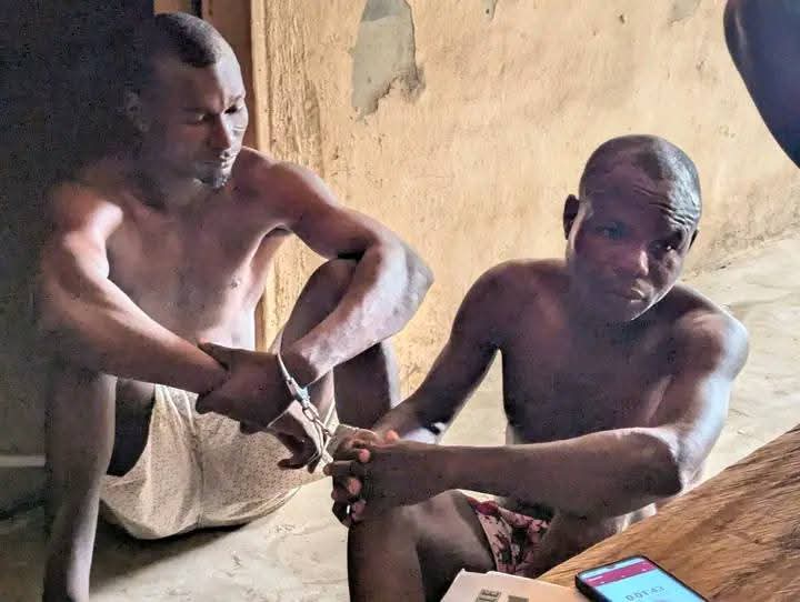 Three sentenced to two years imprisonment for goat theft in Niger state
