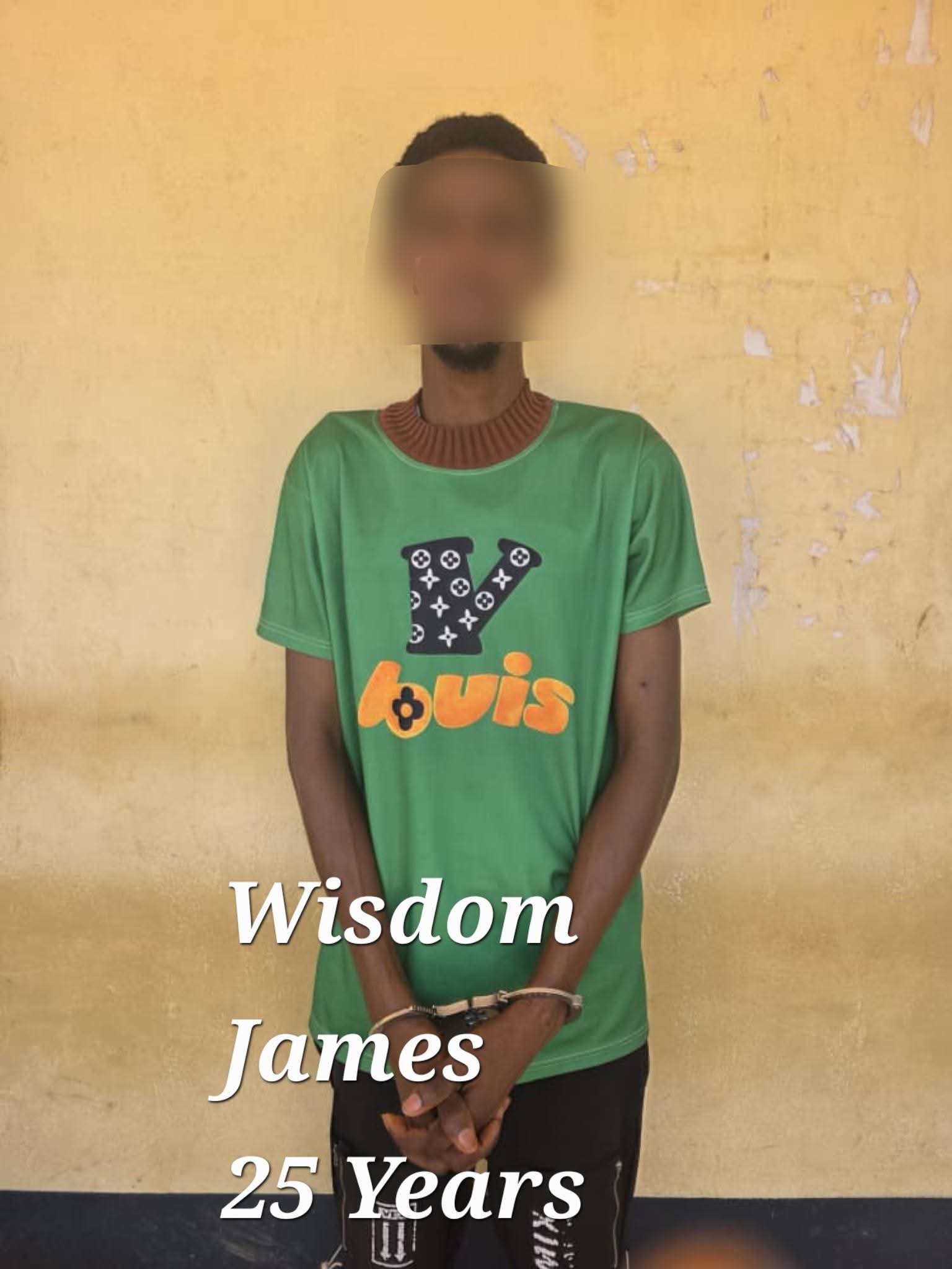Five Nigerians and six Ghanaians arrested for allegedly using deepfake AI-generated video to impersonate President Mahama