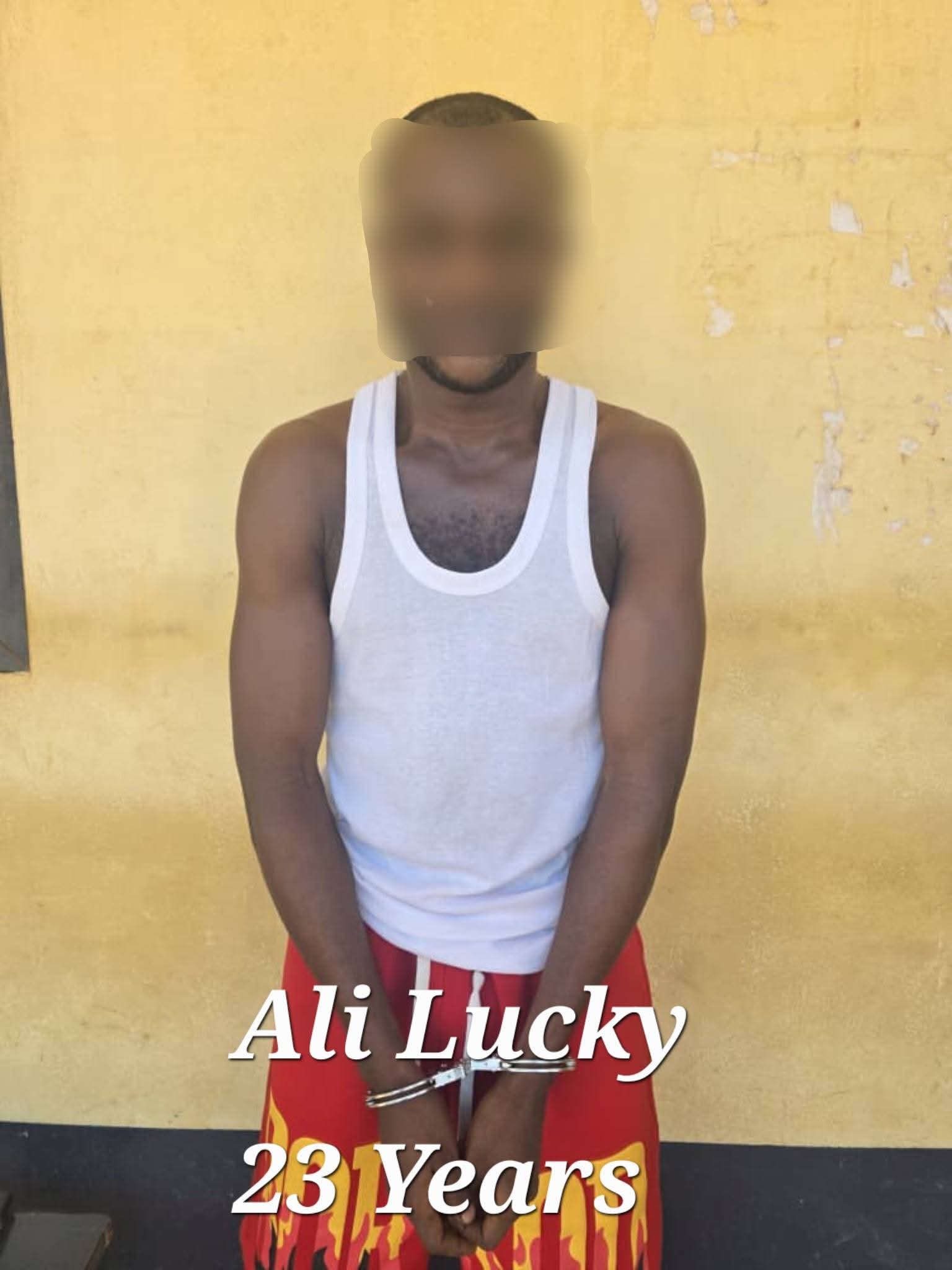 Five Nigerians and six Ghanaians arrested for allegedly using deepfake AI-generated video to impersonate President Mahama