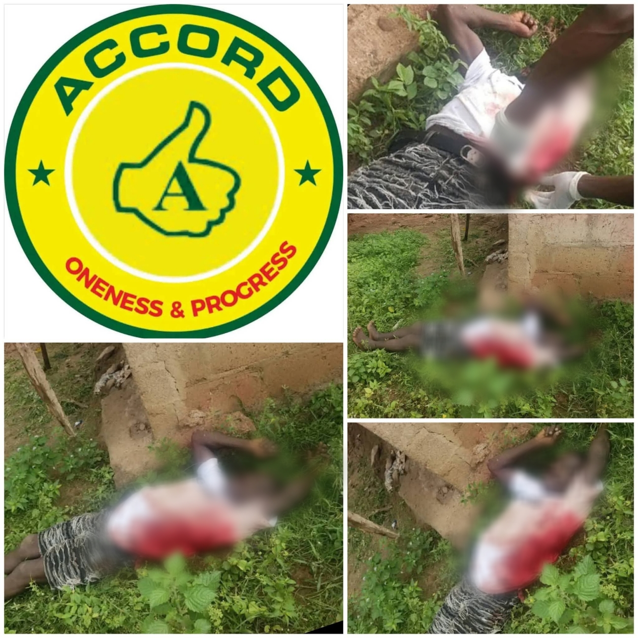 Gunmen k!ll Osun Accord Party women leader?s son