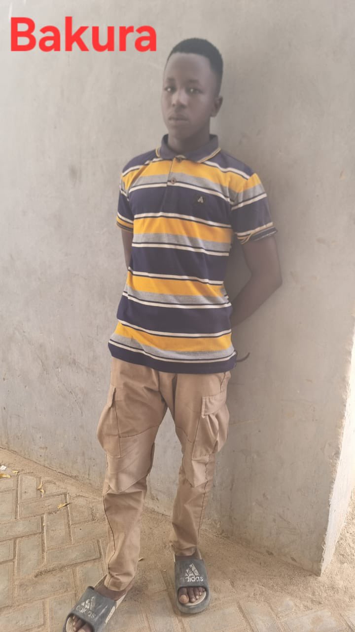 Troops arrest three suspects over alleged ammunition supply to terrorists in Yobe