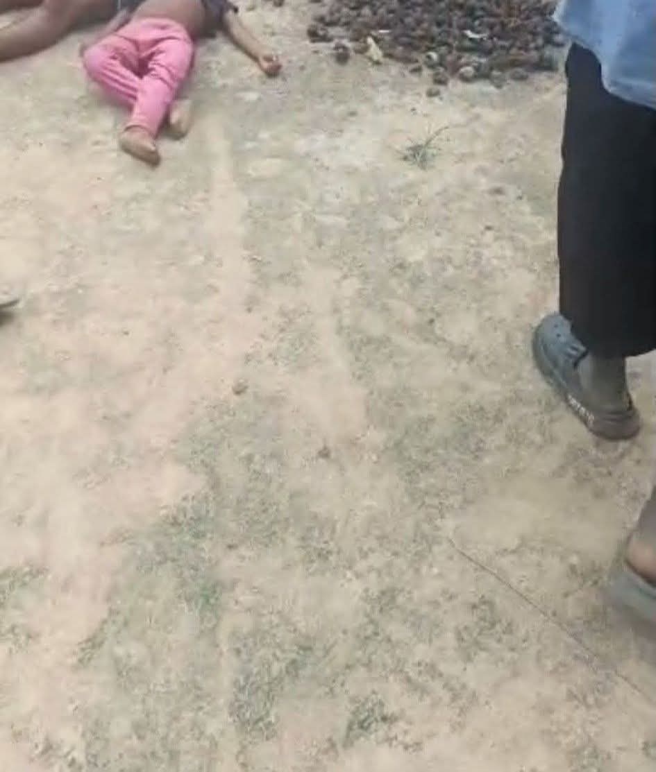 Man beheads his mother, another hacks sister and her child to d3ath in Enugu communities
