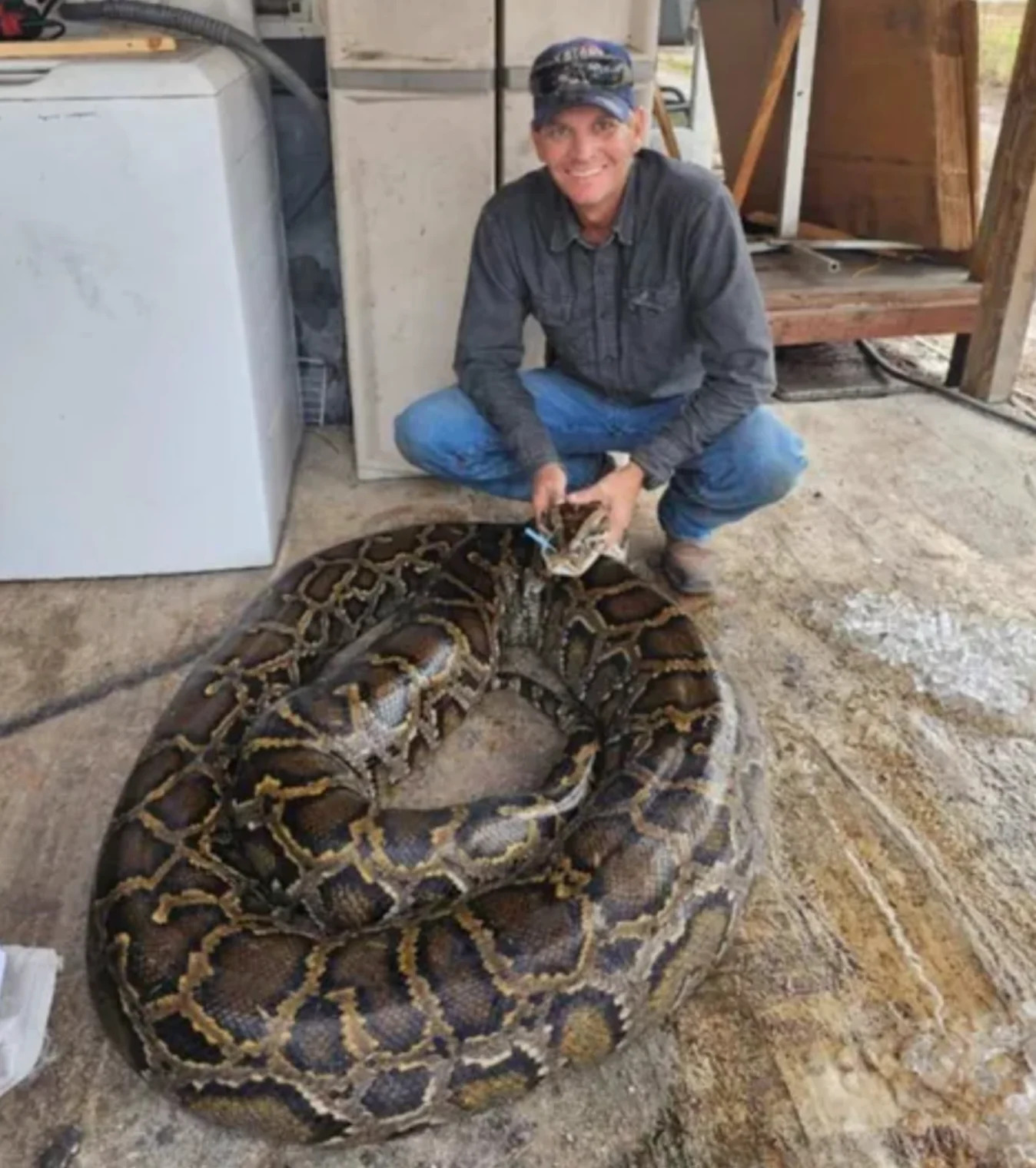 Large python drags hunter 15 feet over ant hill until family intervenes