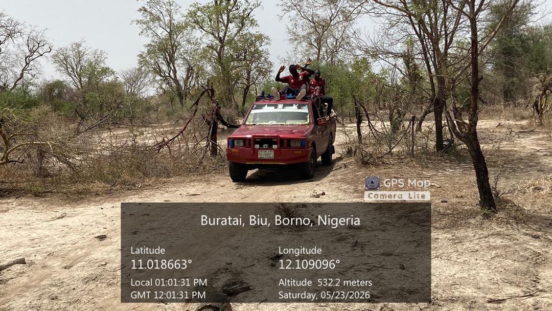 Troops rescue 92 kidnapped civilians in Borno operation