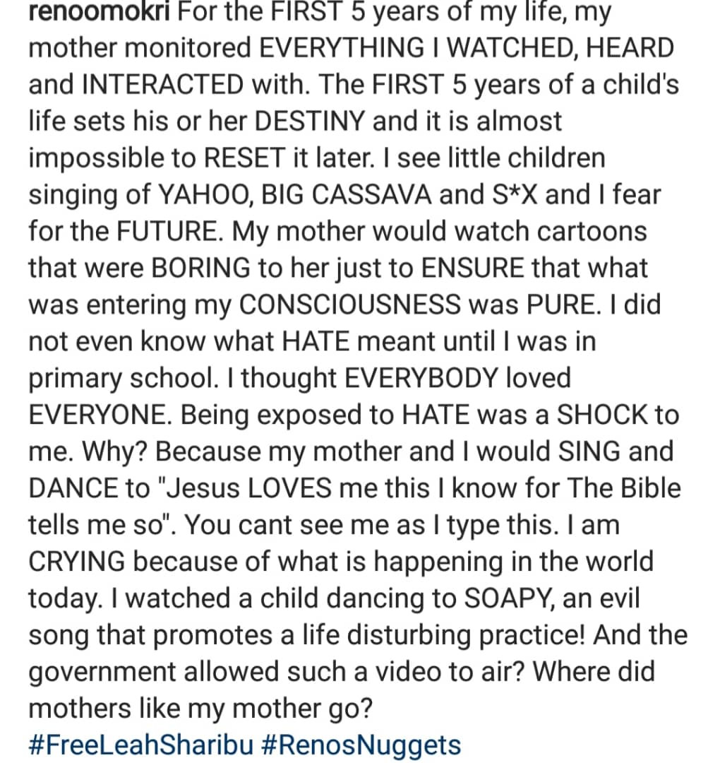 Soapy is an evil song that promotes a life disturbing practice- Reno Omokri