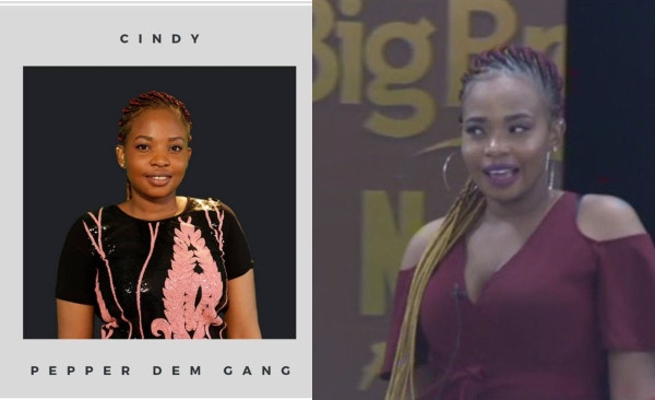 Meet Cindy the new housemate lindaikejisblog