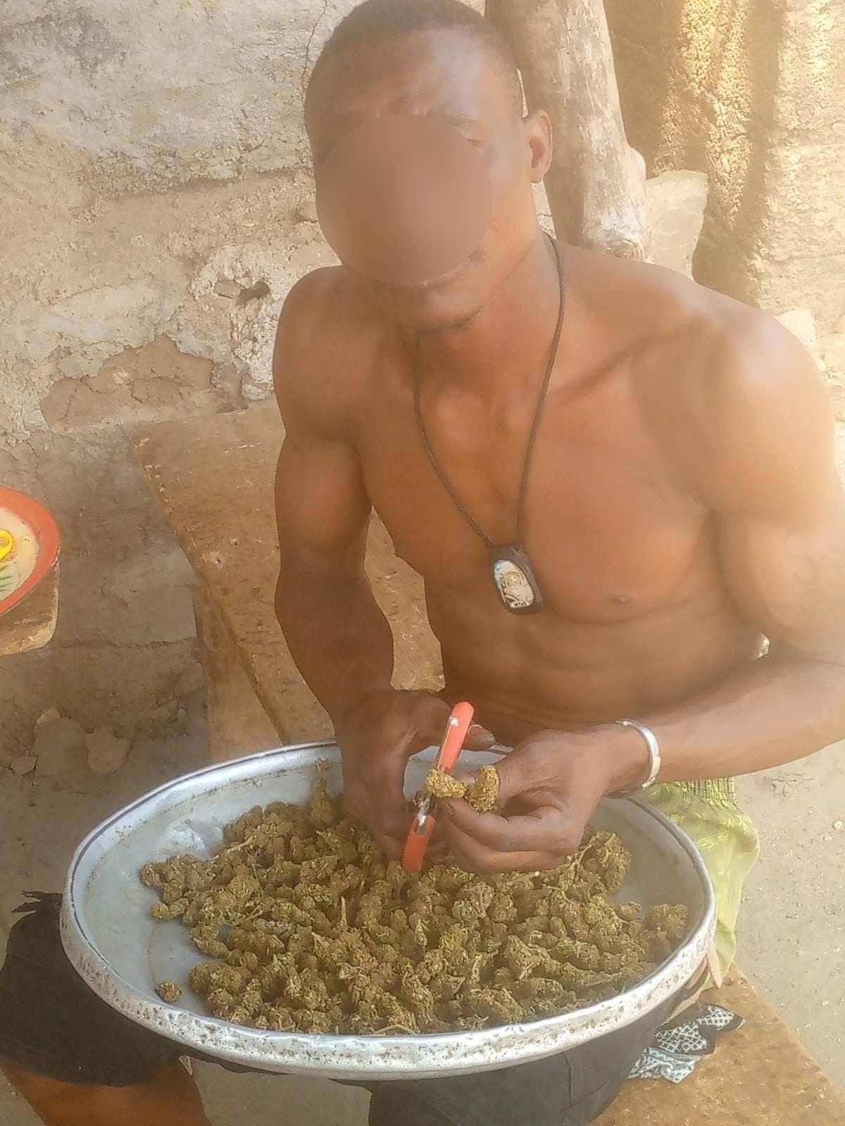 Eight Nigerians, 66 others arrested in Ghana anti-narcotics and crime suppression operations