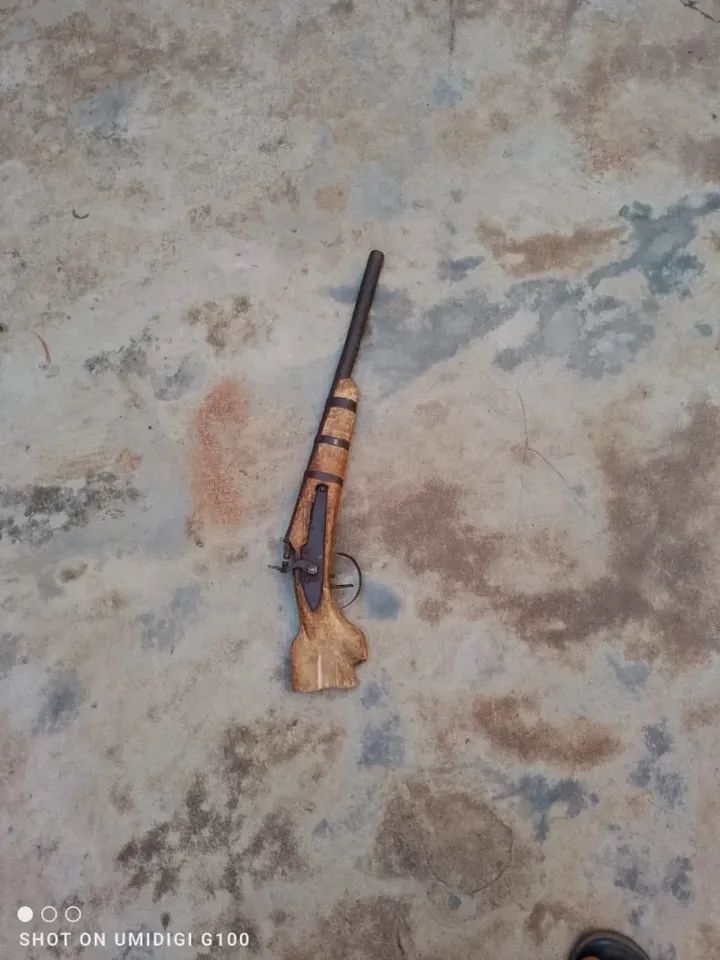Police arrest father and son, recover four firearms in Ogun