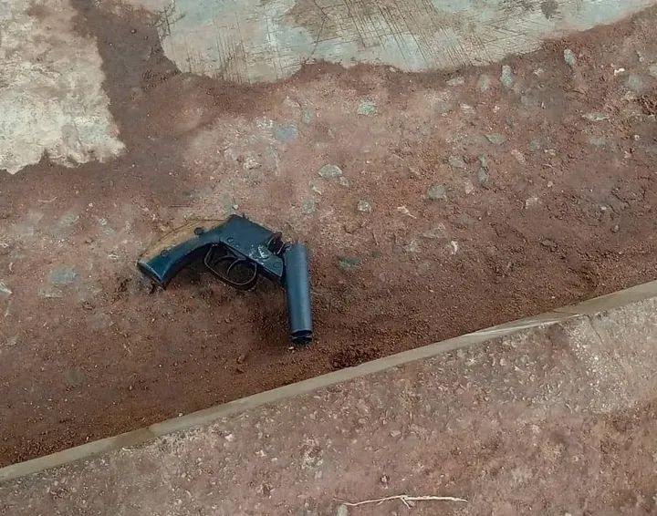 Police arrest father and son, recover four firearms in Ogun