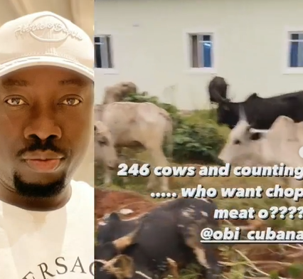 Entrepreneur, Obi Cubana, receives 246 cows from his friends for his mum's funeral this weekend (videos)