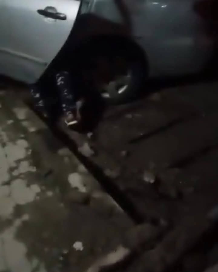 Car snatchers allegedly st@b Bolt driver to d3ath in Abuja