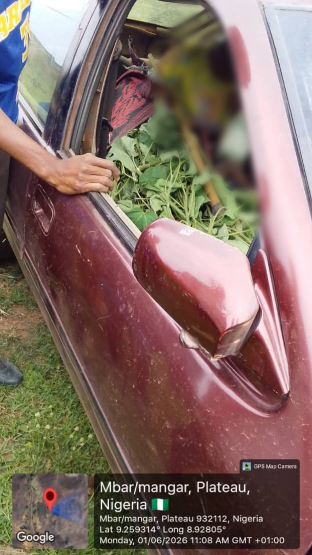 22-year-old man m8rdered in Plateau community