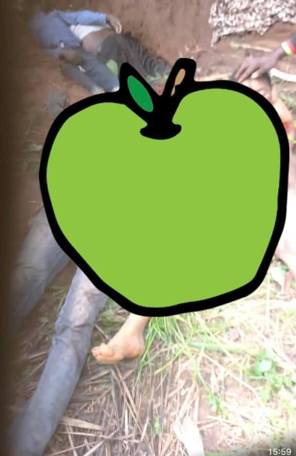 Unknown gunmen kill soldiers on their way to their wedding in Imo state (video)