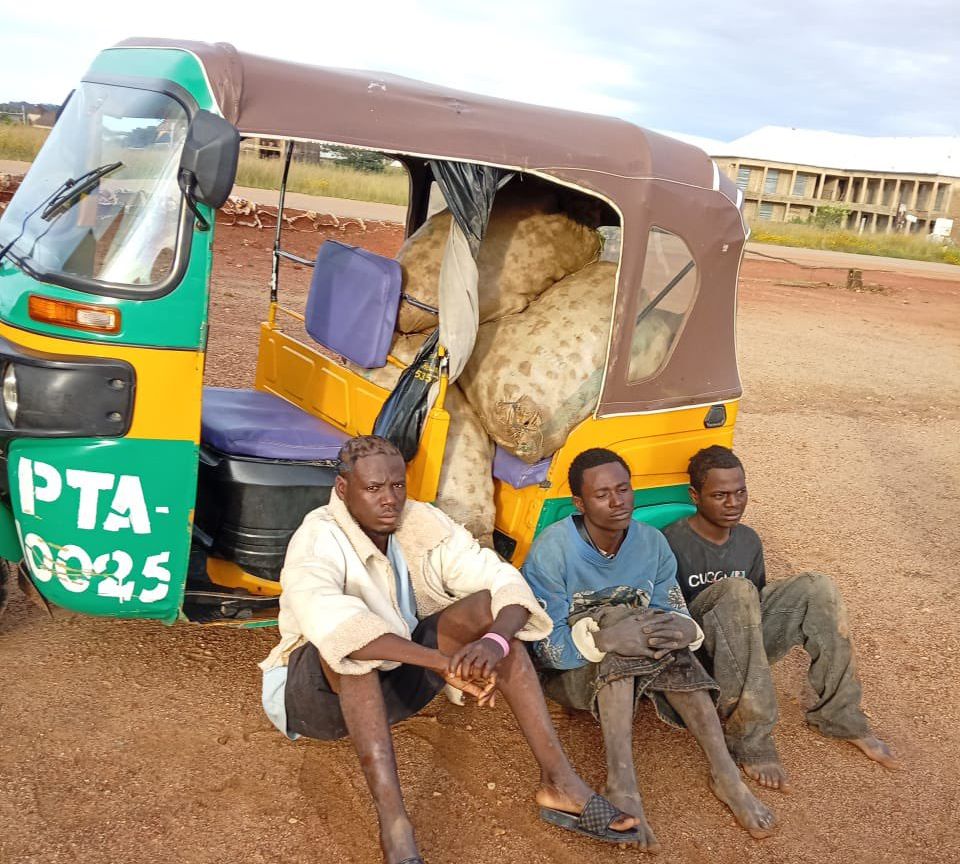 Three suspects arrested for potato theft in Plateau