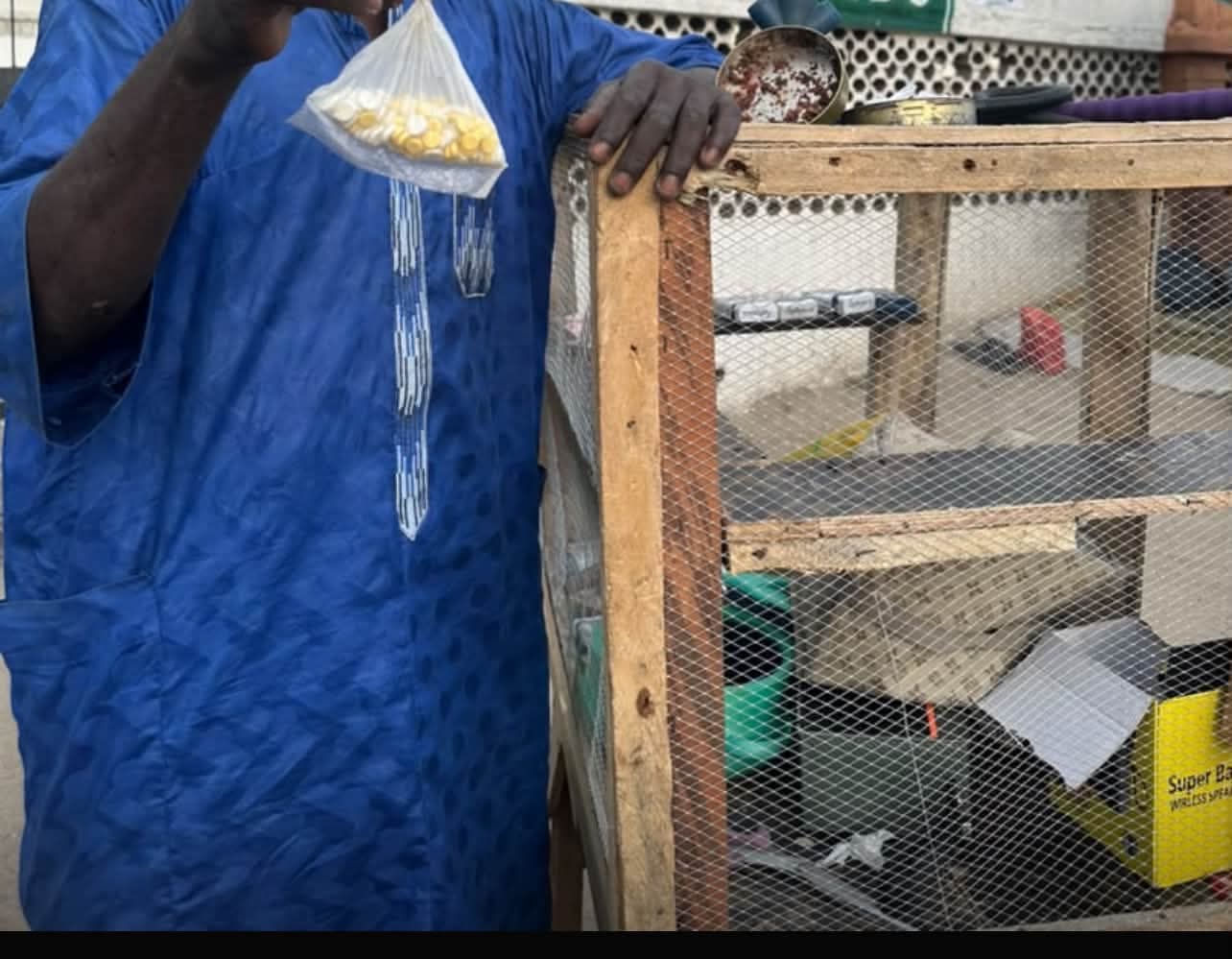 “Tinubu Must Go” T-shirts: Suspects arrested for alleged thuggery, drug possession - Borno police