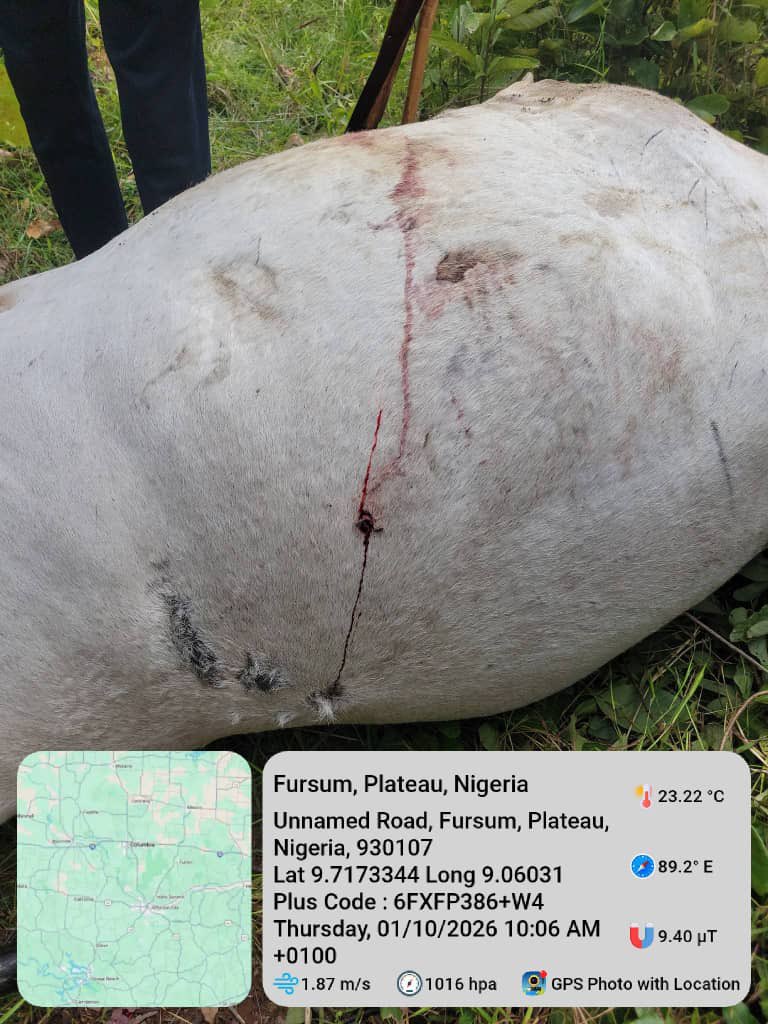 Suspected cattle rustlers k!ll 25-year-old herder in Plateau
