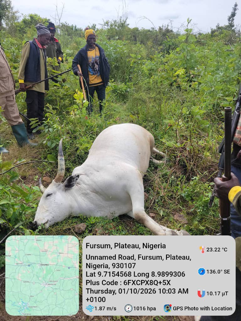 Suspected cattle rustlers k!ll 25-year-old herder in Plateau
