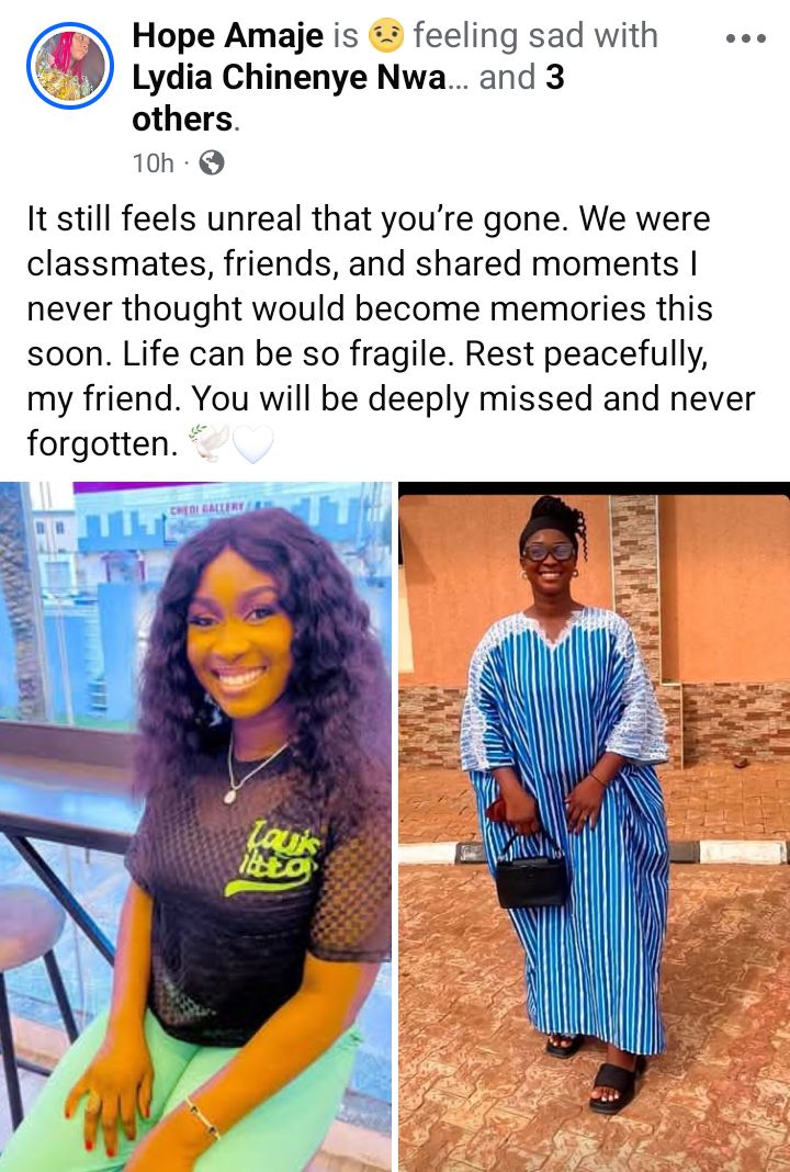 Humanitarian professional Lydia Nwankwo k!lled as bandits attack Sokoto communities