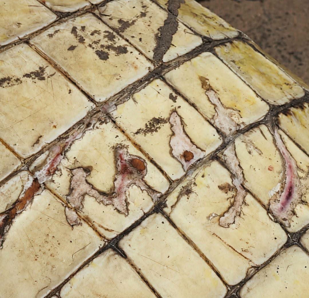 Man k!lls crocodile with spear after it allegedly k!lled two family members in four days