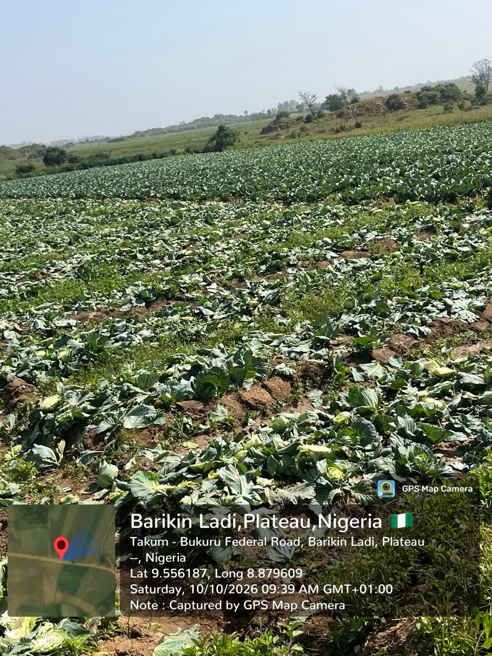 Troops launch manhunt for suspected herders over destruction of cabbage farm in Plateau
