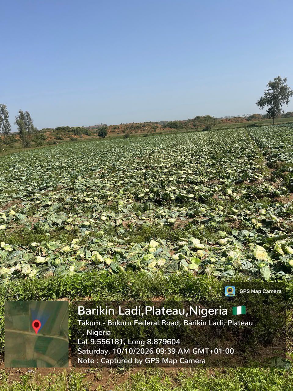 Troops launch manhunt for suspected herders over destruction of cabbage farm in Plateau