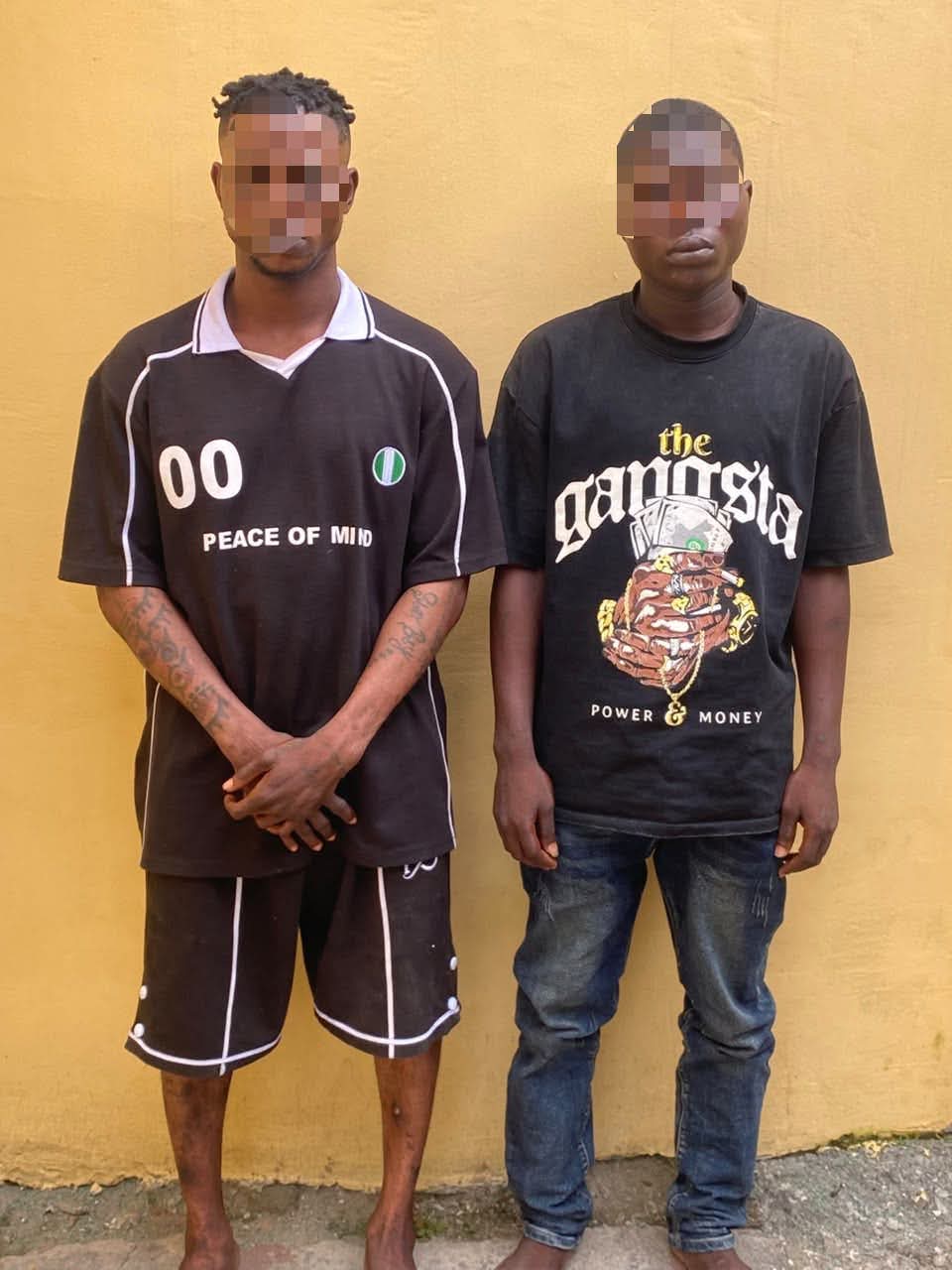 Police arrest two members of phone and motorcycle snatching criminal gang in Oyo