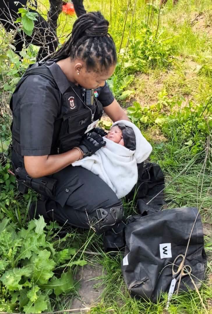 Abandoned newborn baby survives 20 hours inside shopping bag dumped in bush