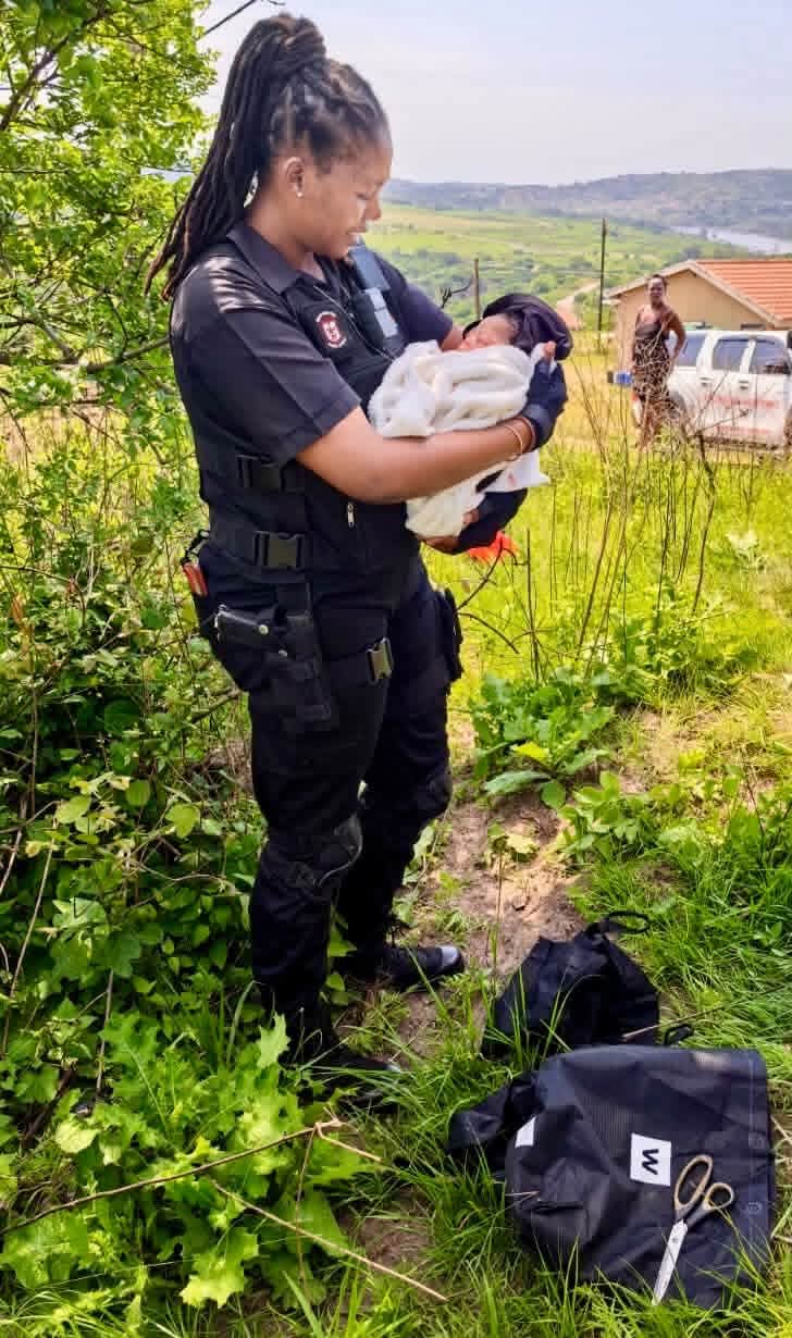 Abandoned newborn baby survives 20 hours inside shopping bag dumped in bush