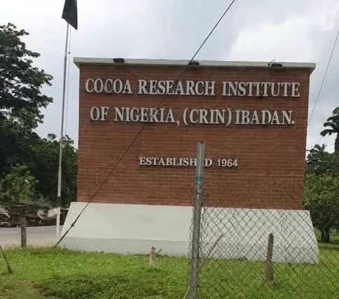 Three abducted Cocoa Research Institute staff regain freedom after payment of N50m ransom
