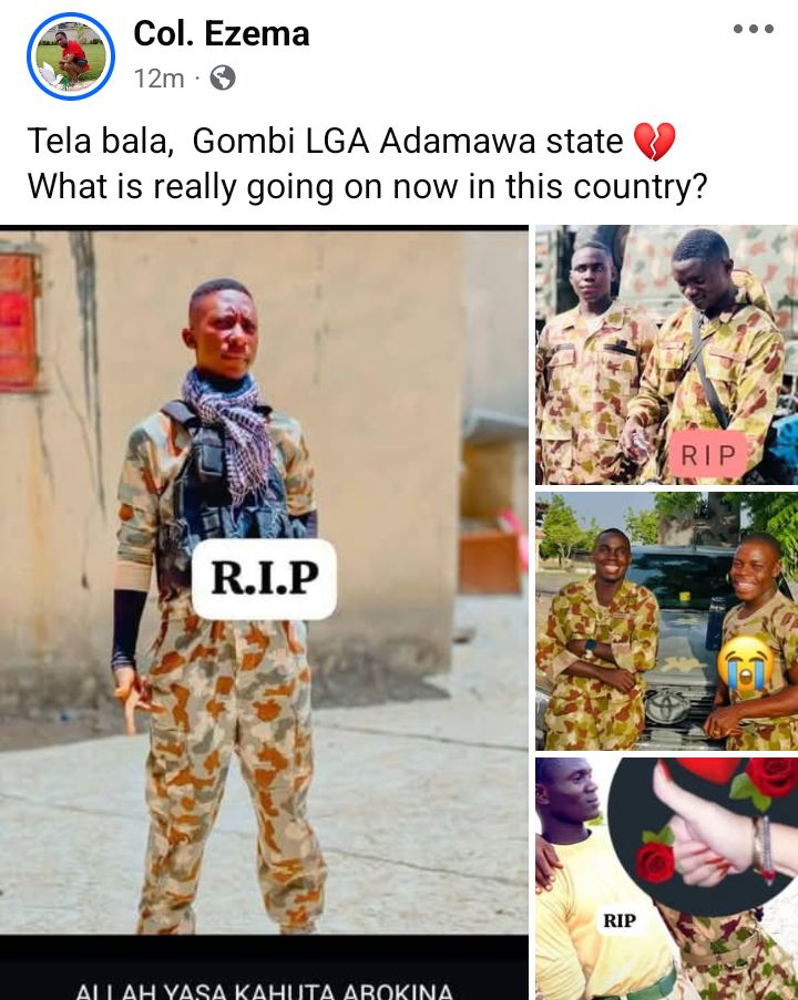 Four soldiers and forest guard lose their lives as Boko Haram attack Adamawa communities