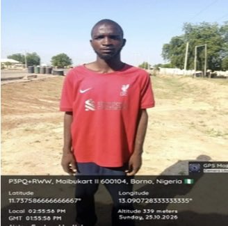 Two suspected ISWAP logistics suppliers arrested at checkpoint in Borno
