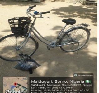 Two suspected ISWAP logistics suppliers arrested at checkpoint in Borno