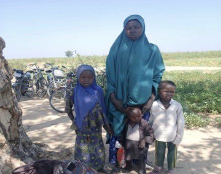 Suspected ISWAP wife and three children surrender to troops in Borno