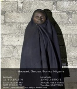 Abducted woman escaped terrorist enclave in Borno
