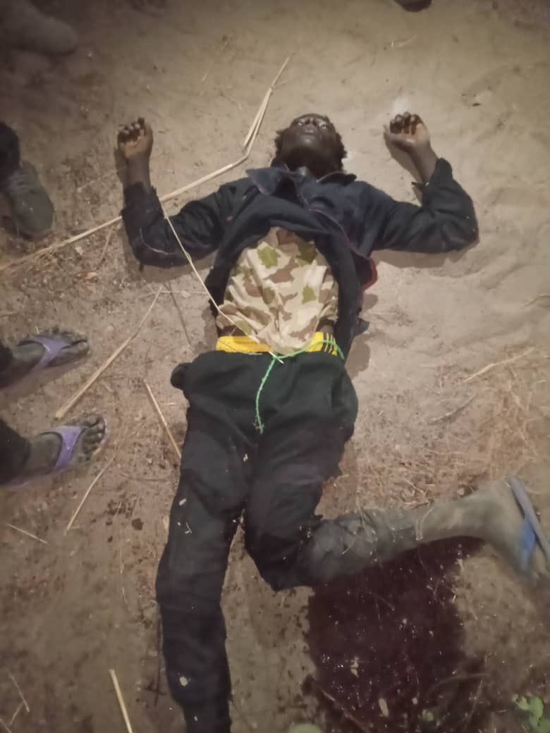 Army troops and CJTF neutralise 21 terrorists in Borno