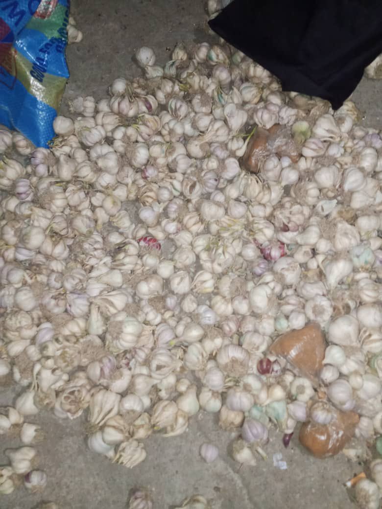 Army troops and CJTF neutralise 21 terrorists in Borno