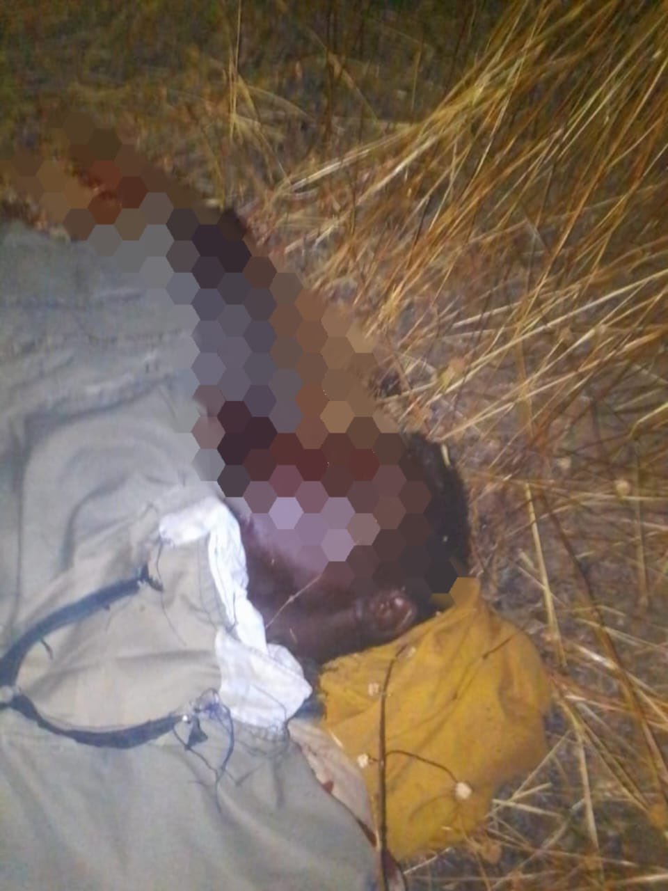 Army troops and CJTF neutralise 21 terrorists in Borno