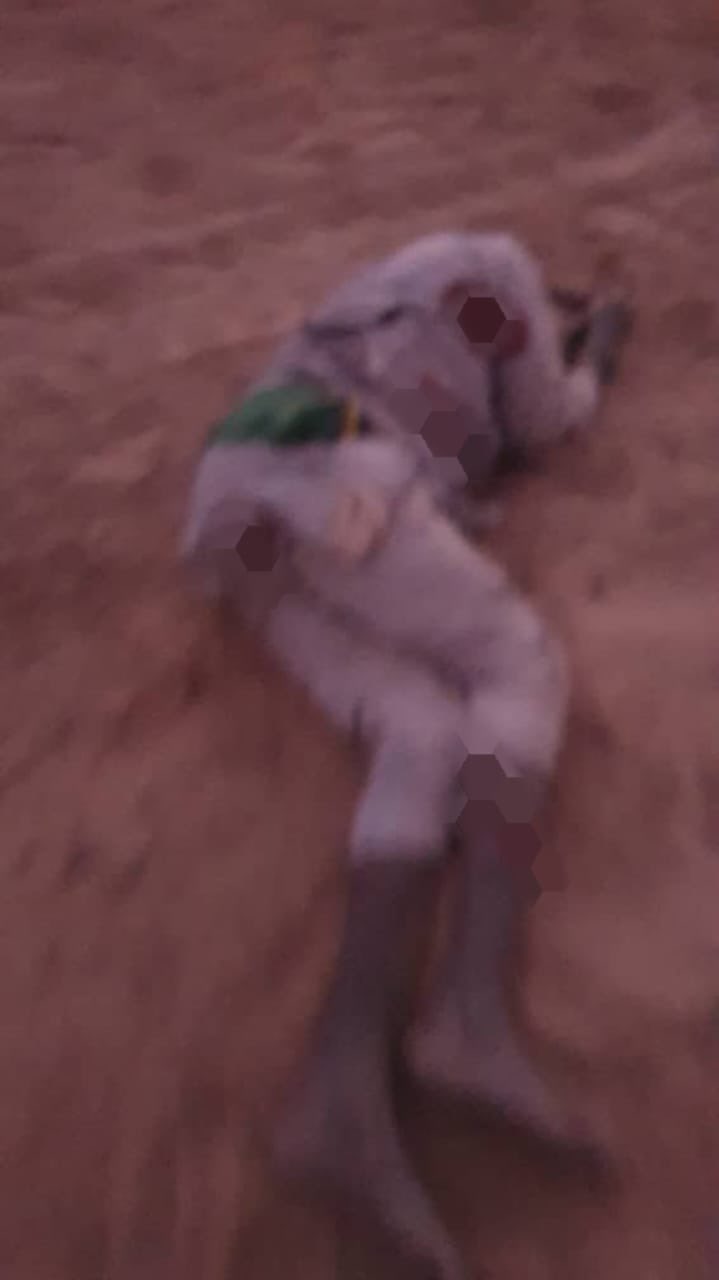 Army troops and CJTF neutralise 21 terrorists in Borno