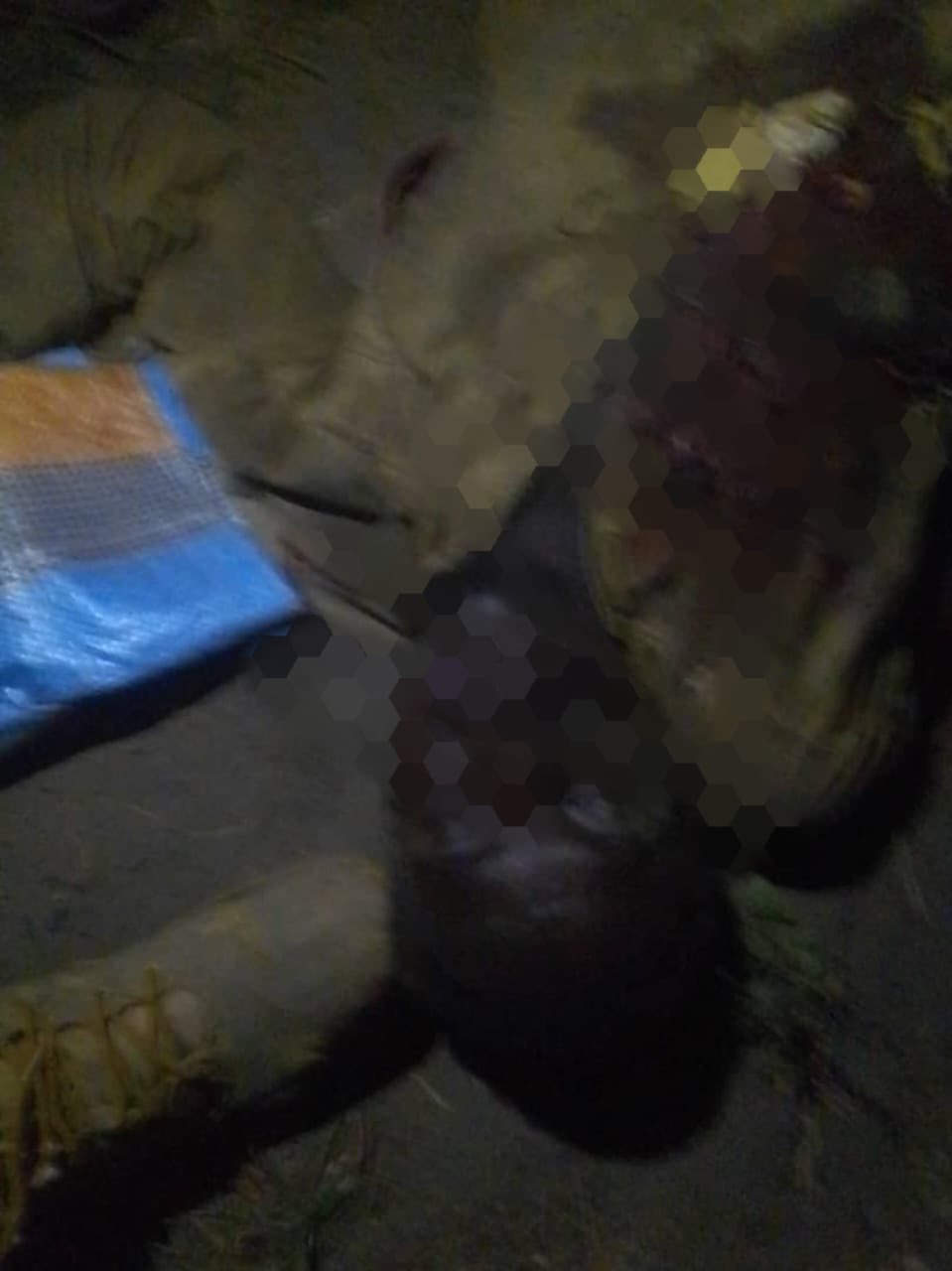 Army troops and CJTF neutralise 21 terrorists in Borno