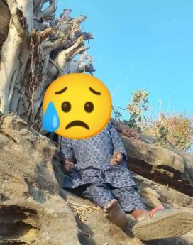 Police launch investigation as man is found hanging on a tree in Adamawa