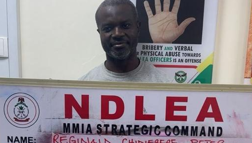 NDLEA nabs wanted drug kingpin after 13 years in hiding over cocaine, heroin shipments
